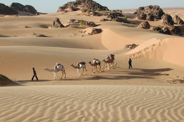 mauritanie-droits-reserves_0000009967b0qas1ltfg_m